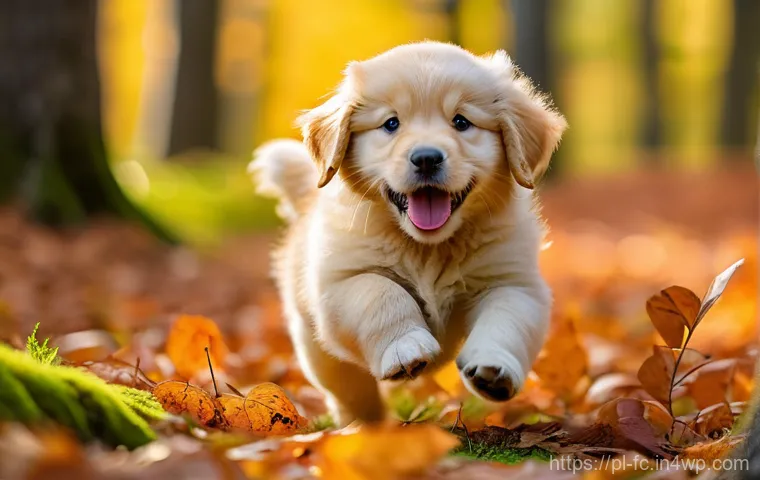 CSS 아키텍처 패턴의 사례 연구 - A young woman in her early twenties, with long, wavy brown hair, is comfortably seated in a cozy, su...